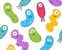 Gut-microbes-The-new-frontier-in-weight-loss-iStock-628603196-Converted-500x409